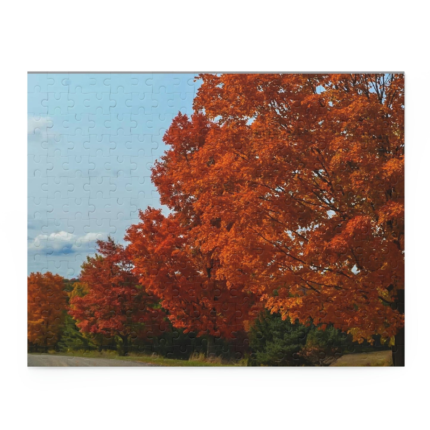 Beauty of Fall (120, 252, 500-Piece)