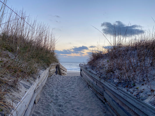 Sneak Peak at the Beach