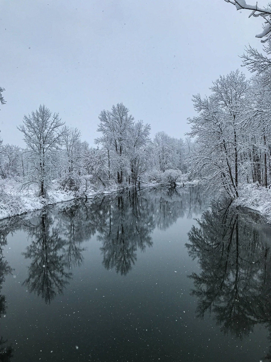 Snow on the Creek