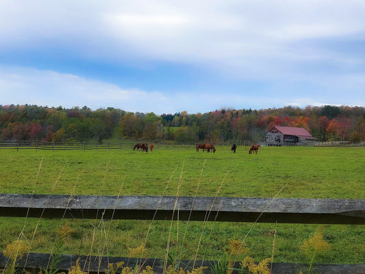Fall in Upstate New York