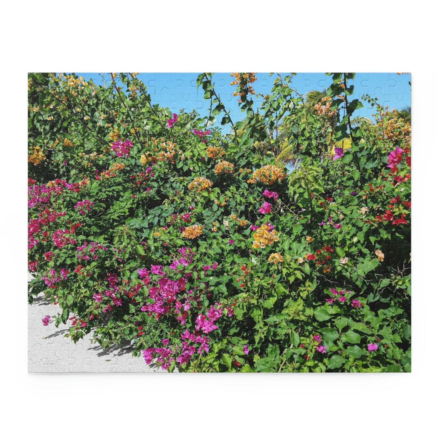 Beauty in Haiti (120, 252, 500-Piece)