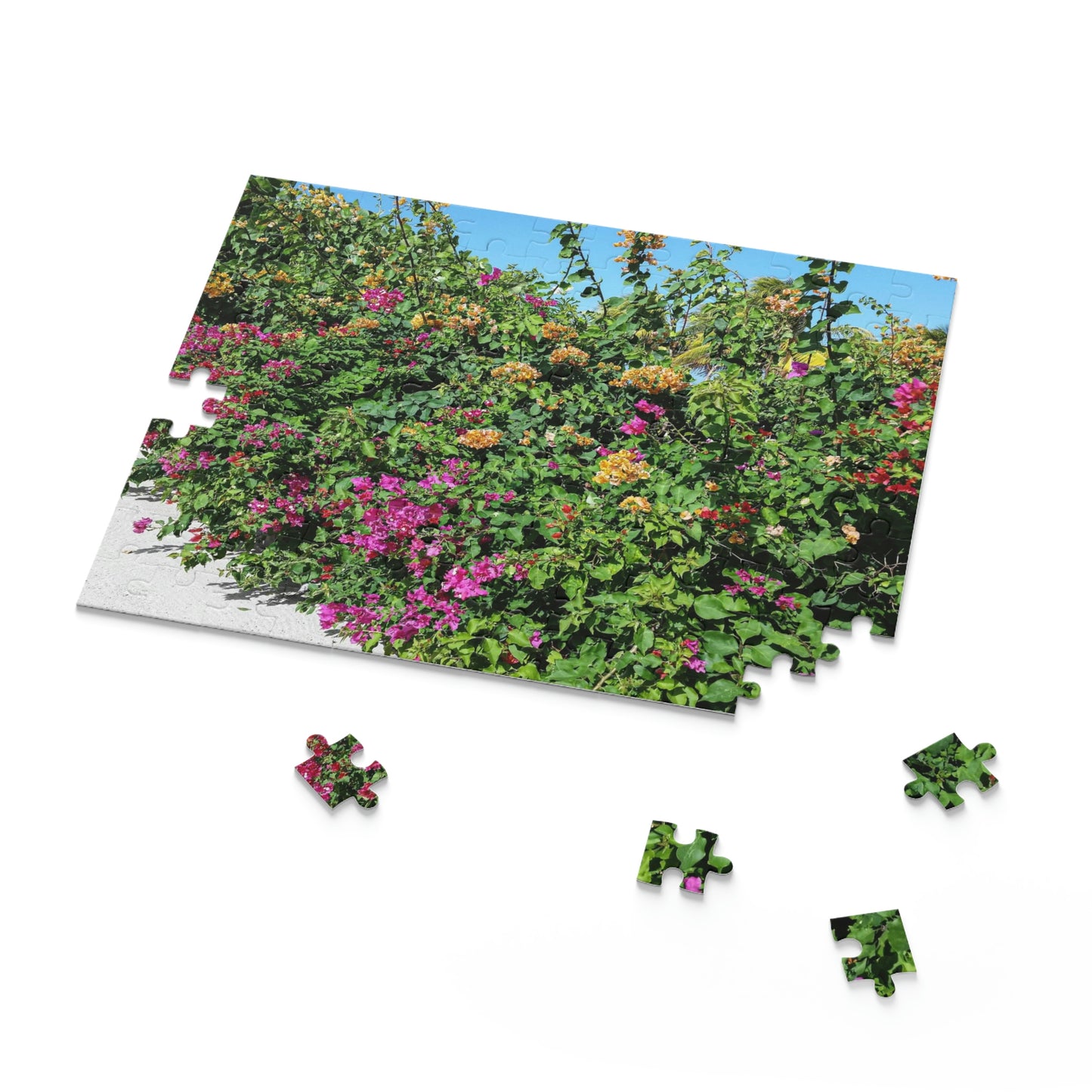 Beauty in Haiti (120, 252, 500-Piece)