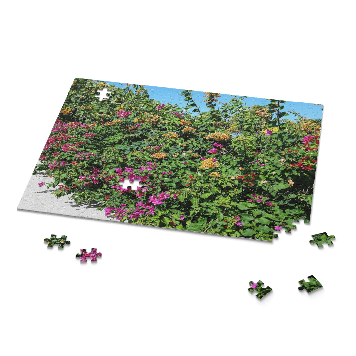 Beauty in Haiti (120, 252, 500-Piece)