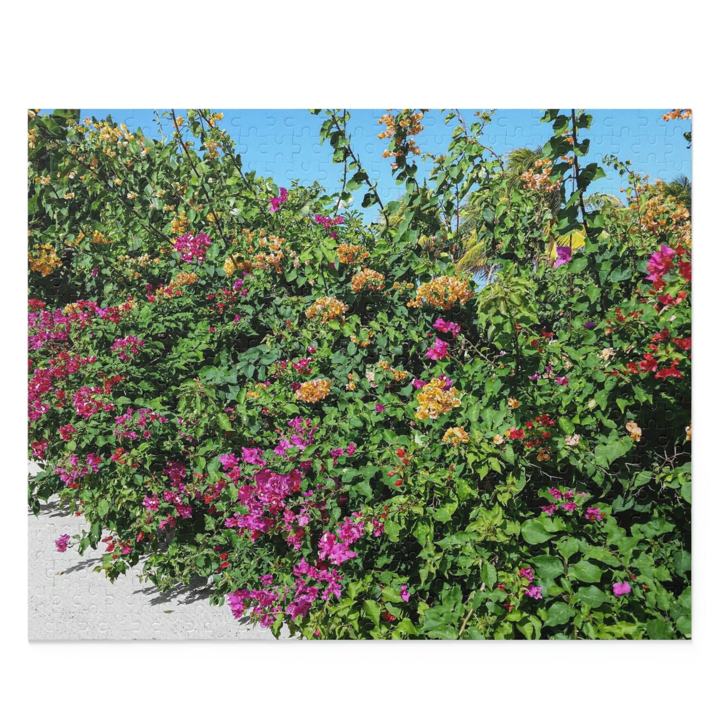 Beauty in Haiti (120, 252, 500-Piece)