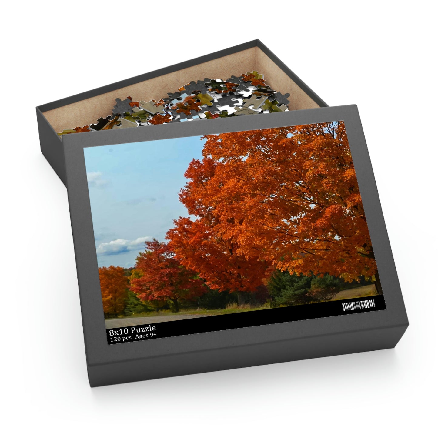 Beauty of Fall (120, 252, 500-Piece)