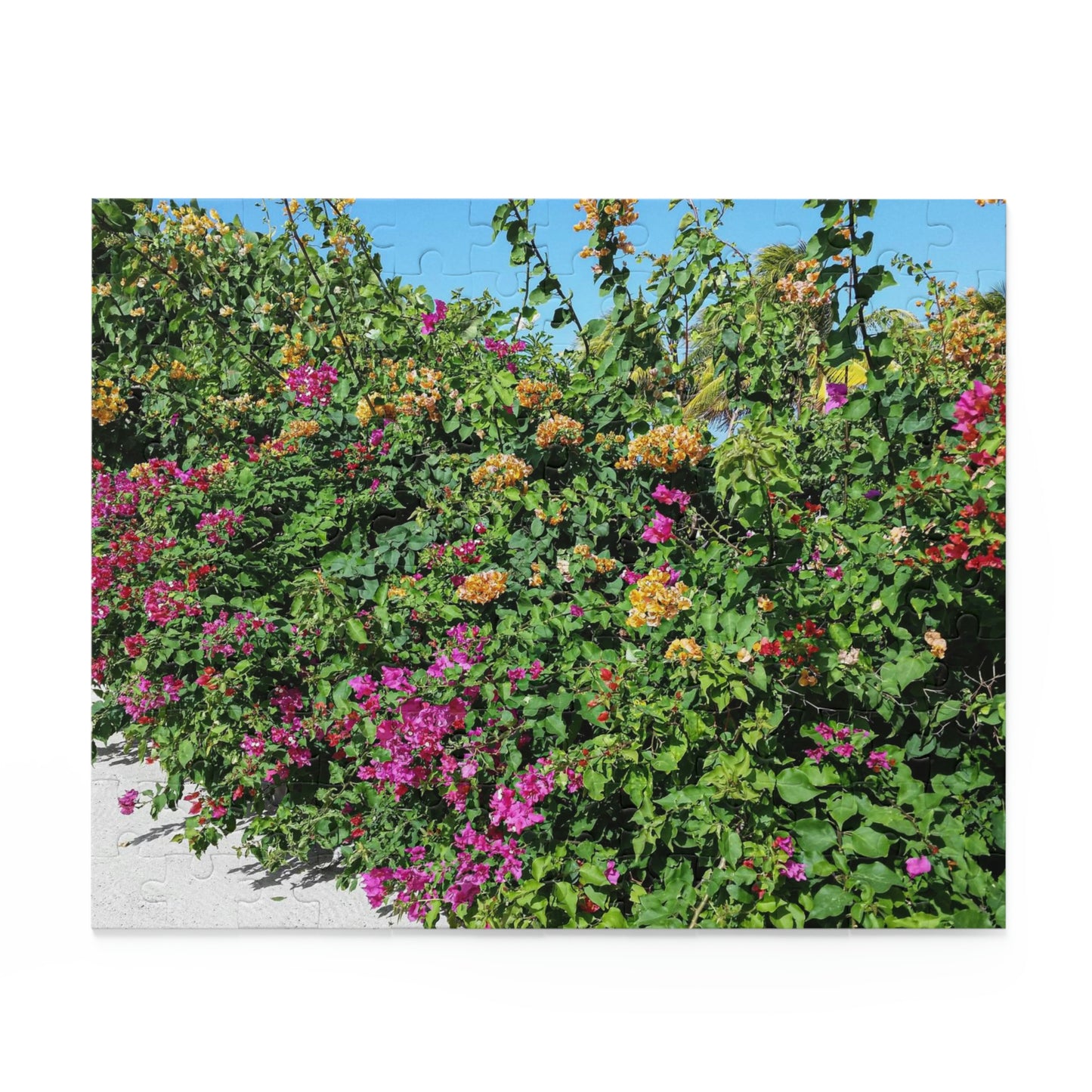 Beauty in Haiti (120, 252, 500-Piece)