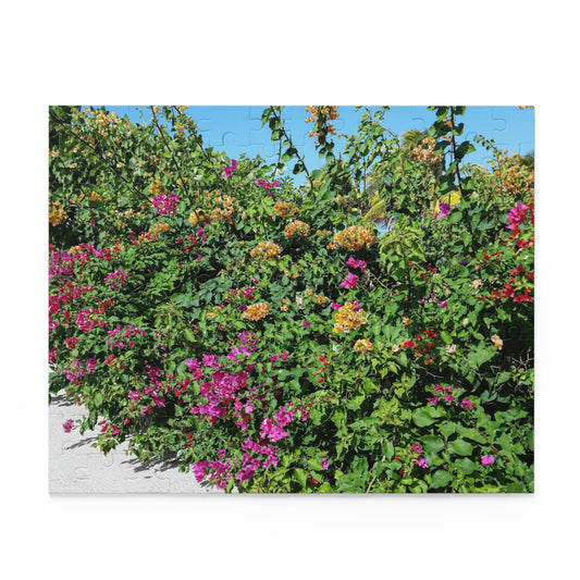 Beauty in Haiti (120, 252, 500-Piece)