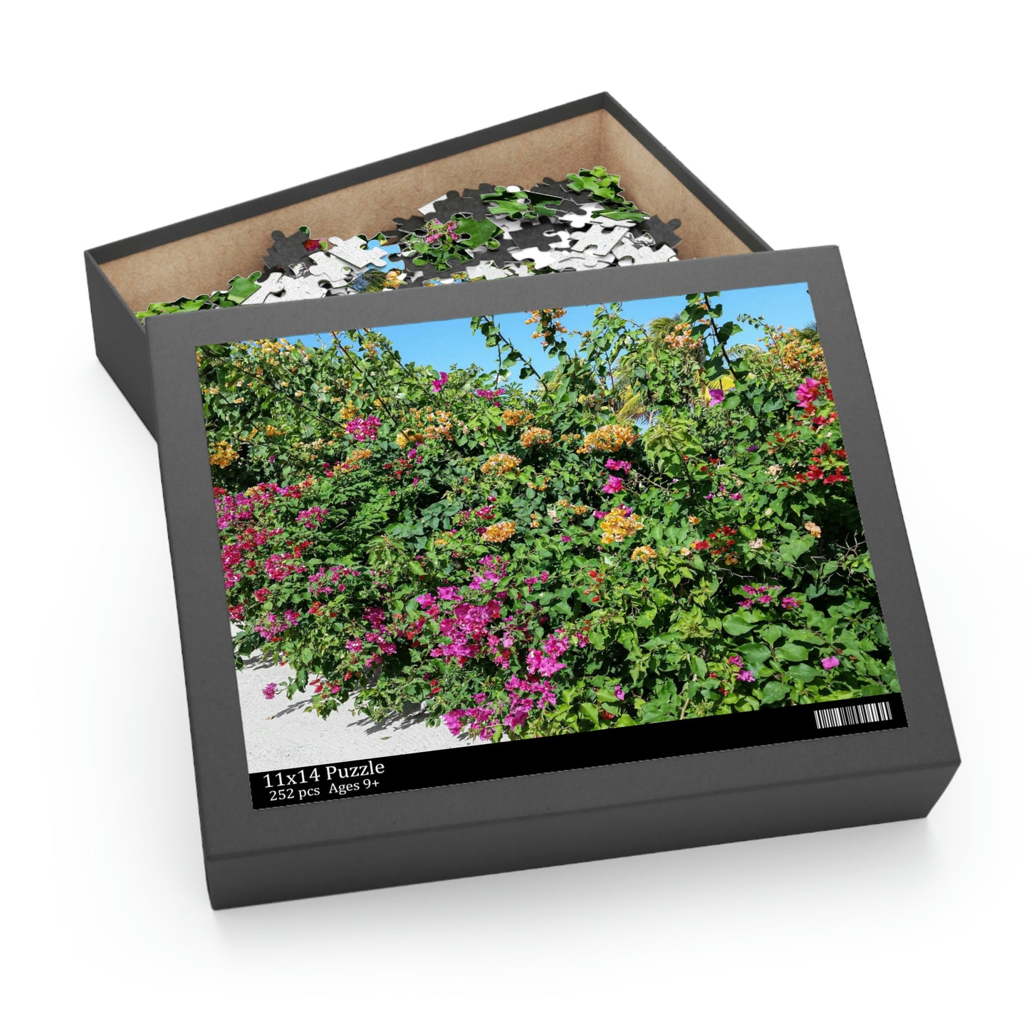 Beauty in Haiti (120, 252, 500-Piece)