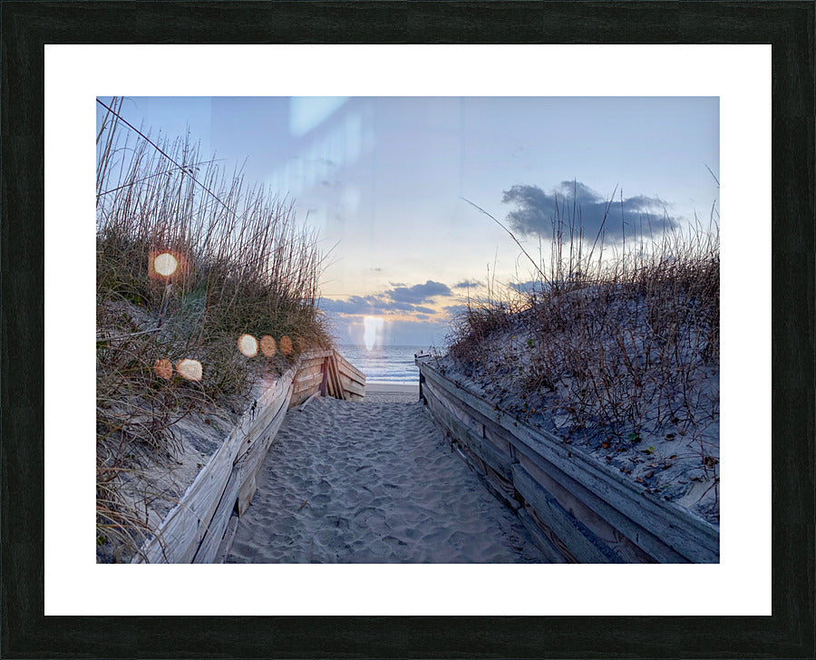 Framed Print