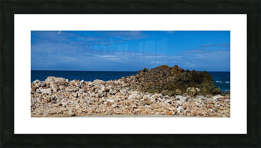 Framed Print