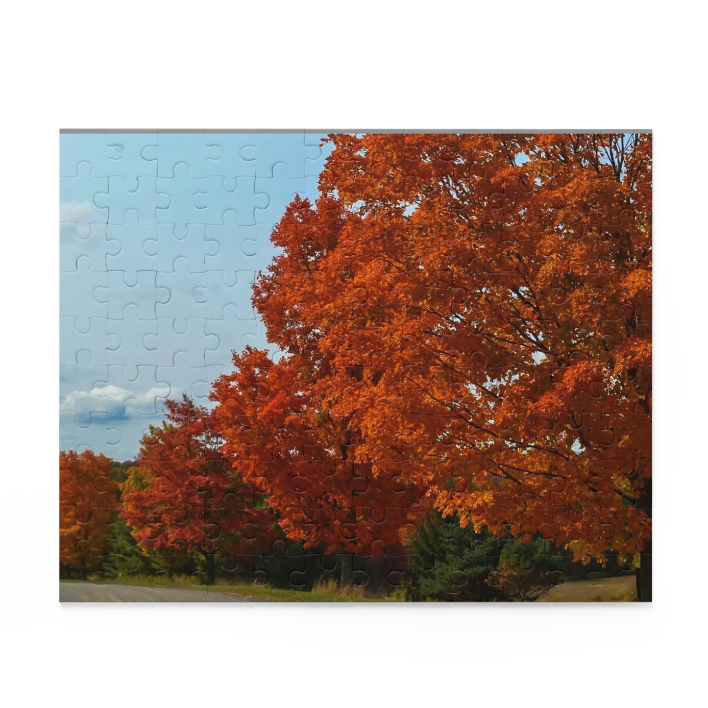 Beauty of Fall (120, 252, 500-Piece)