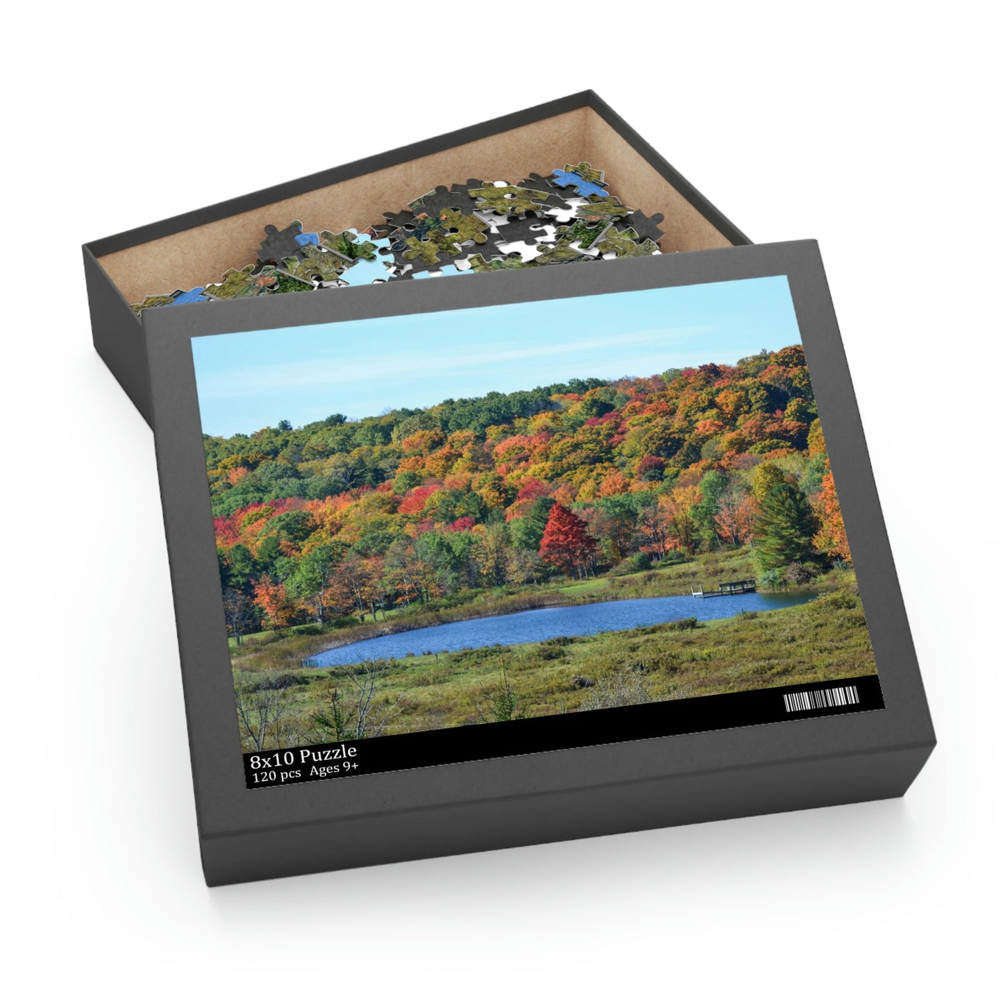 Fall in Upstate New York (120, 252, 500-Piece)