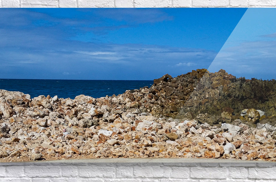 Acrylic Print