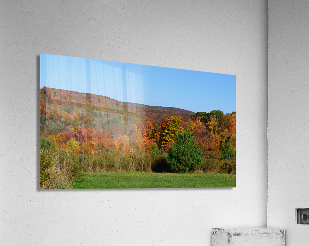 Acrylic Print