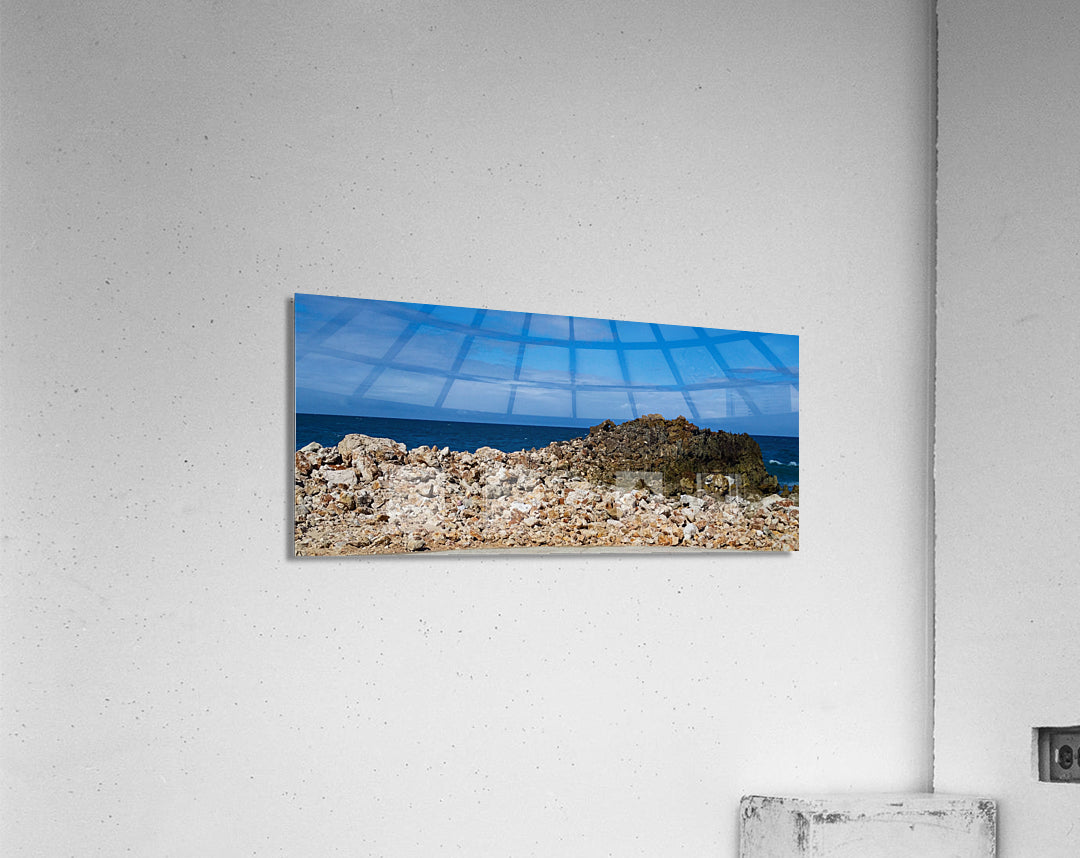 Acrylic Print