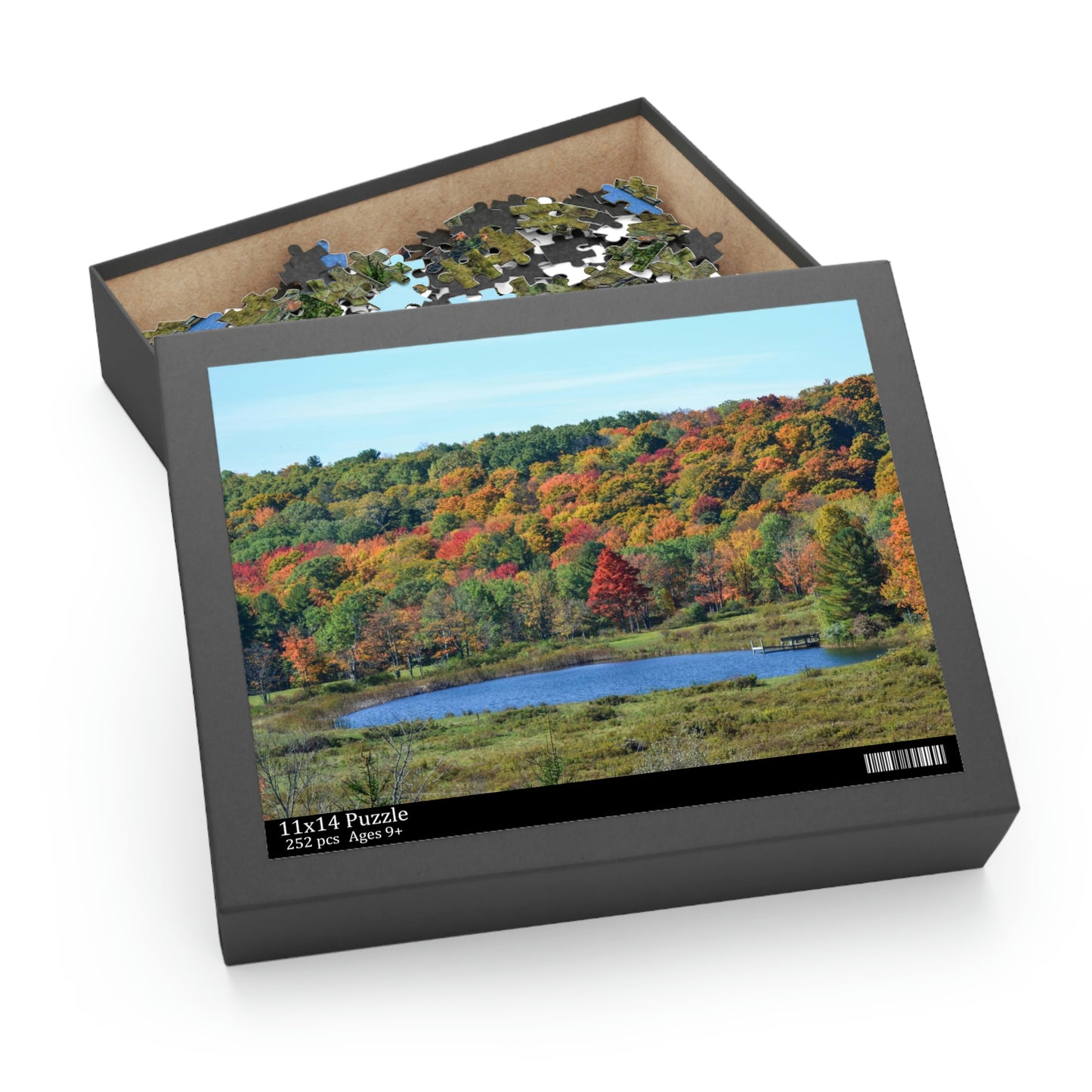 Fall in Upstate New York (120, 252, 500-Piece)