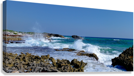 Giclée Stretched Canvas Print