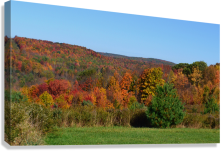 Giclée Stretched Canvas Print