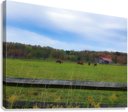 Giclée Stretched Canvas Print