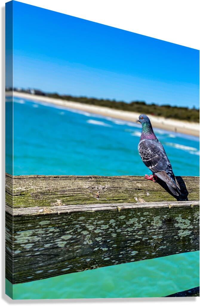 Giclée Stretched Canvas Print