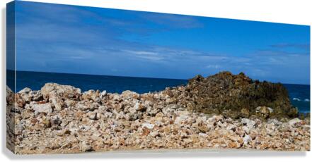 Giclée Stretched Canvas Print