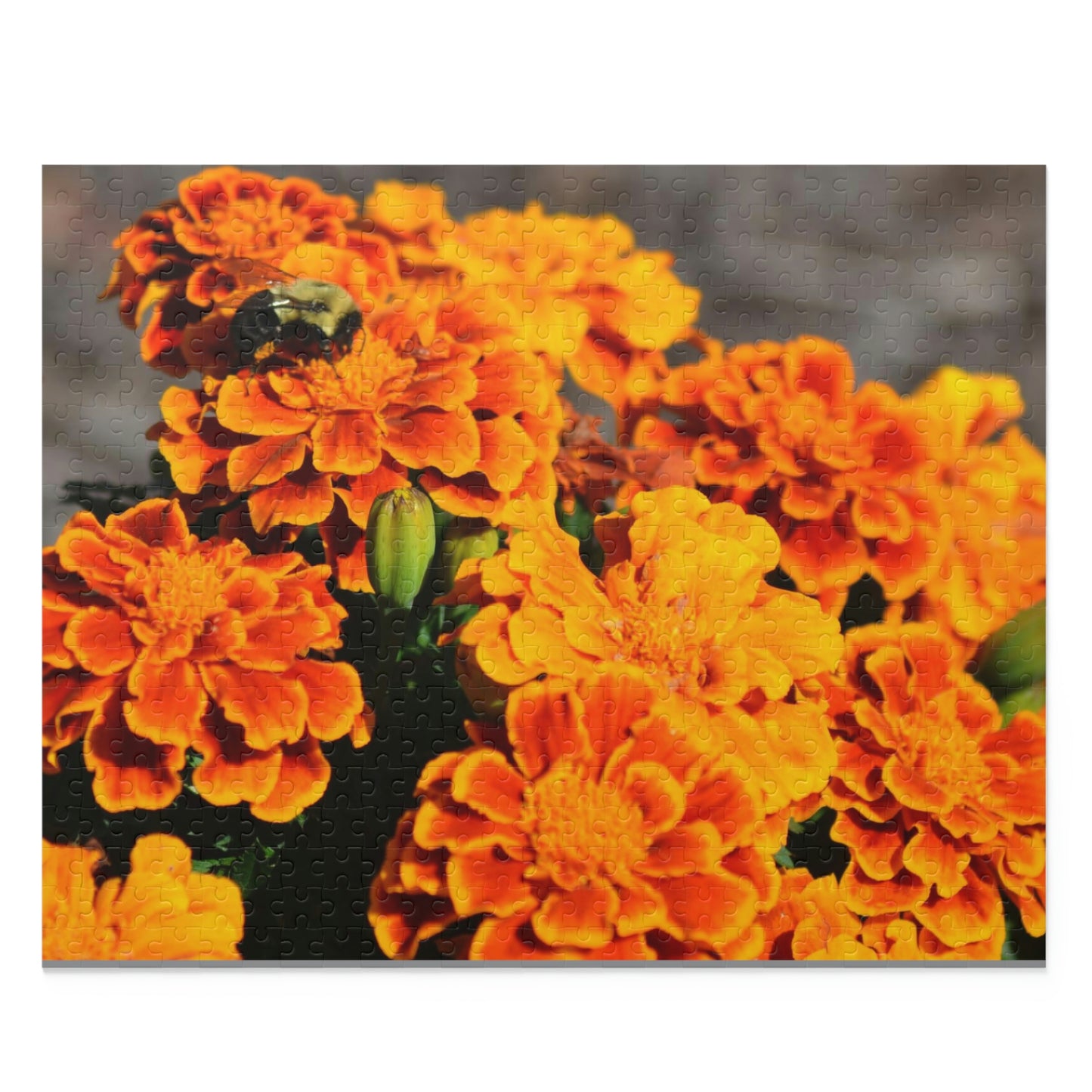 Pollination time (120, 252, 500-Piece)