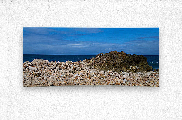 Brushed Metal Print