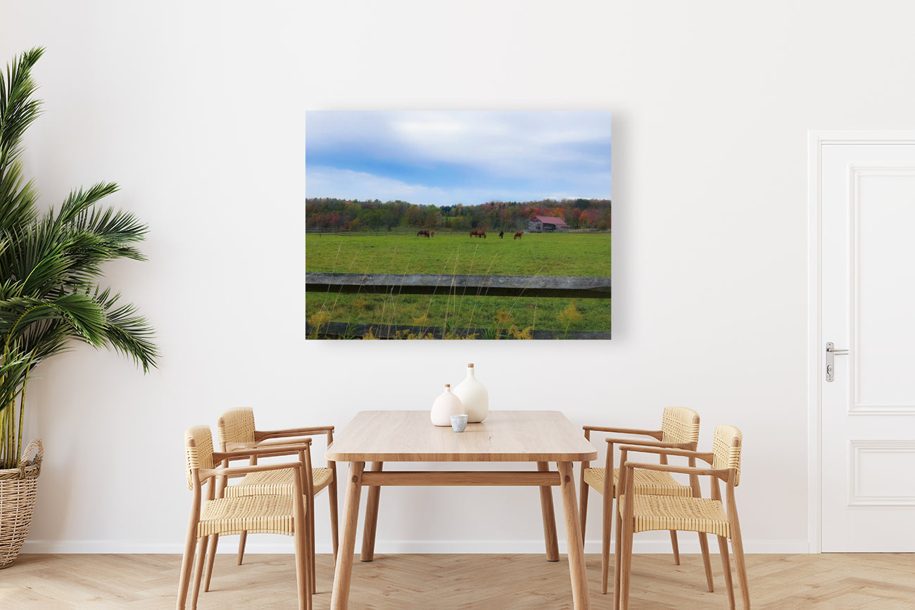 Giclée Stretched Canvas Print
