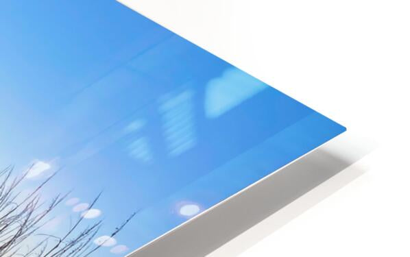 HD Sublimation Metal Print