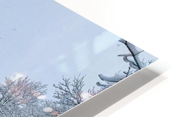 HD Sublimation Metal Print