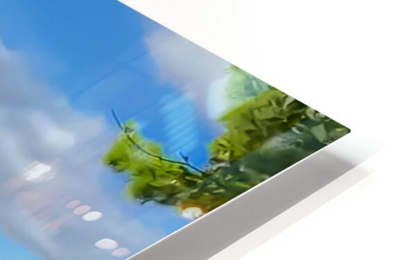 HD Sublimation Metal Print