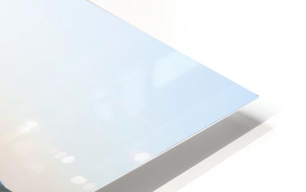 HD Sublimation Metal Print