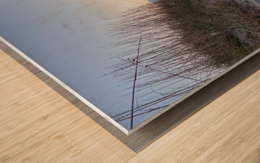 Wood Print