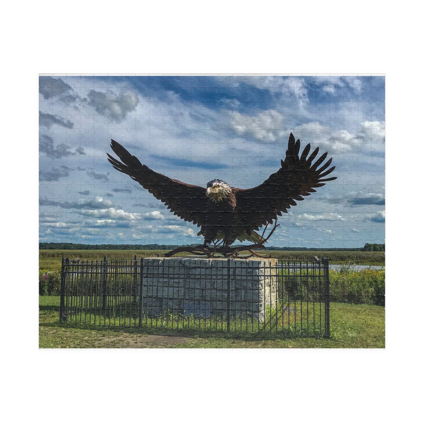 The Eagle at Montezuma Puzzle (252, 520, 1014-piece)