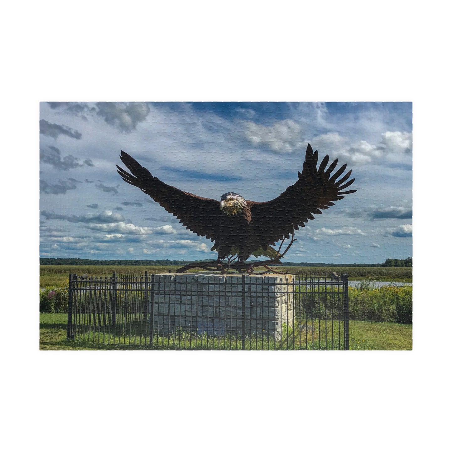 The Eagle at Montezuma Puzzle (252, 520, 1014-piece)