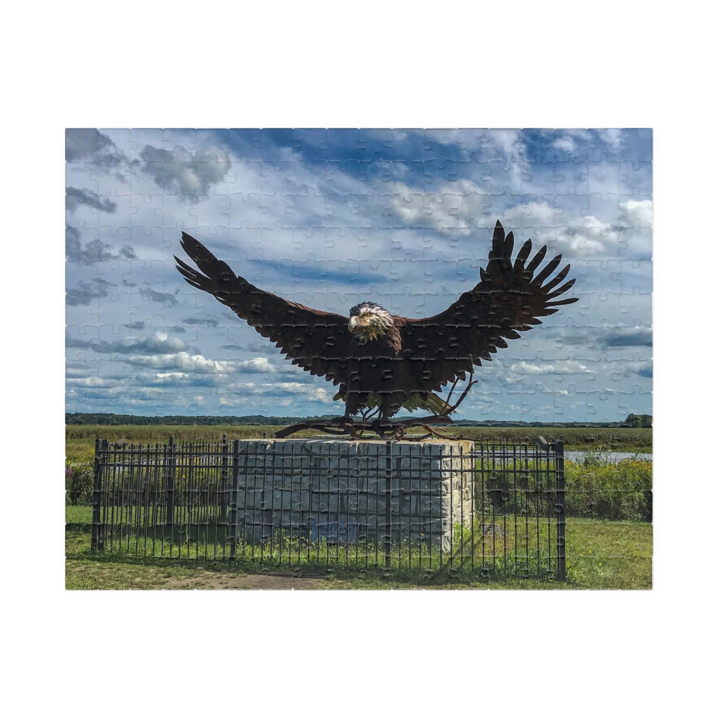 The Eagle at Montezuma Puzzle (252, 520, 1014-piece)