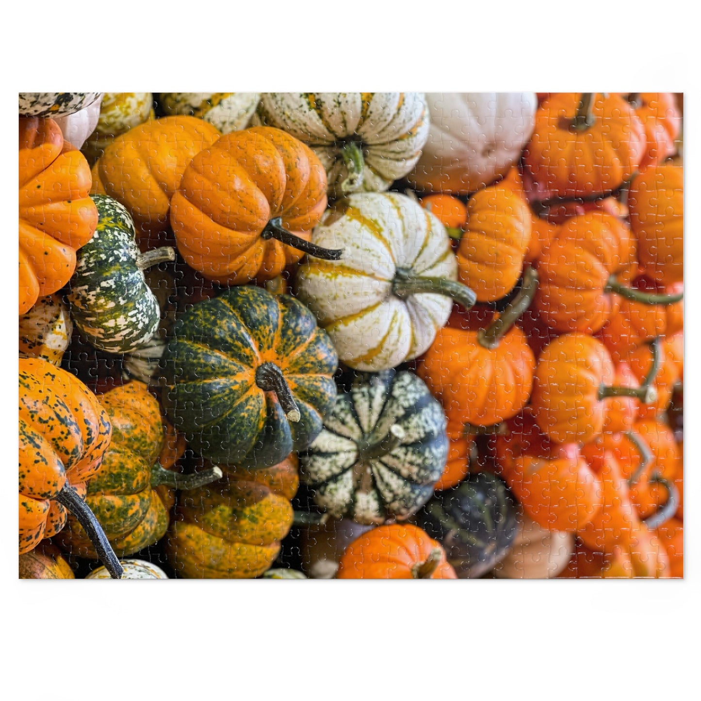 The Pumpkin Pile Jigsaw Puzzle (252, 500,1000-Piece)