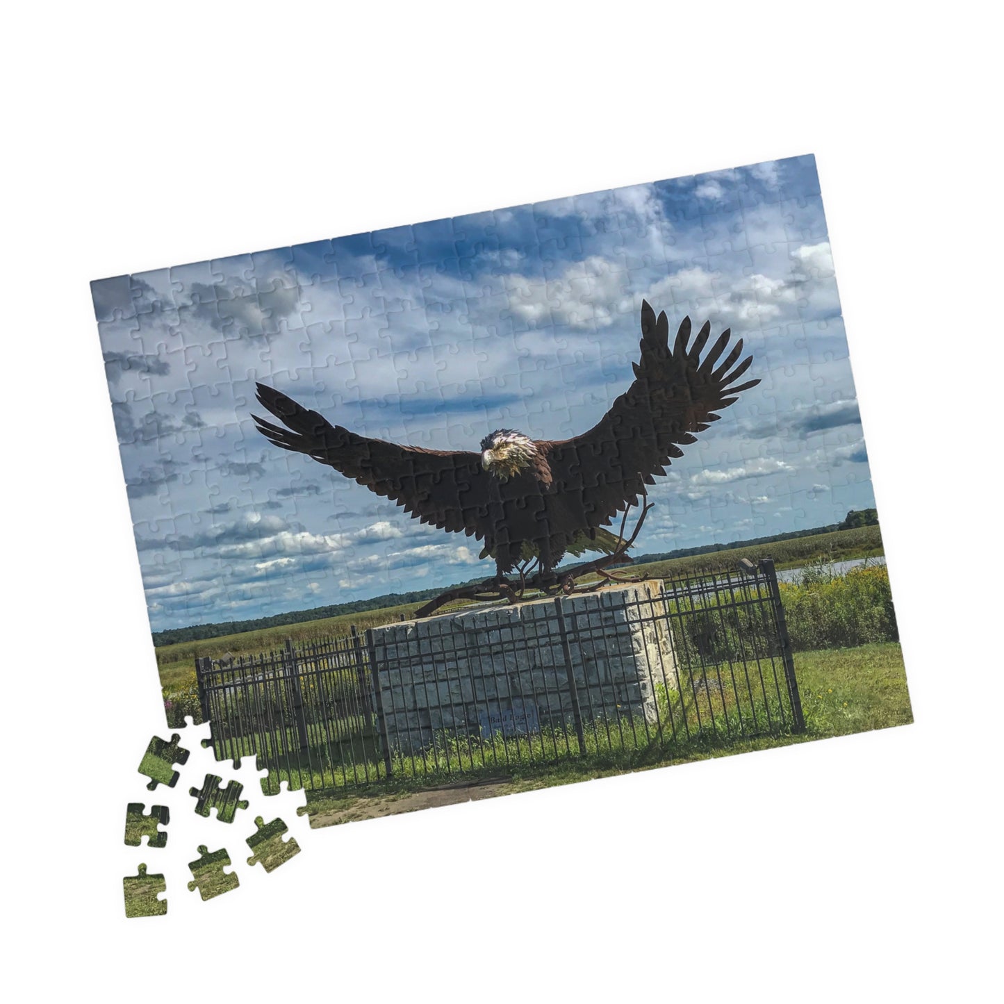 The Eagle at Montezuma Puzzle (252, 520, 1014-piece)