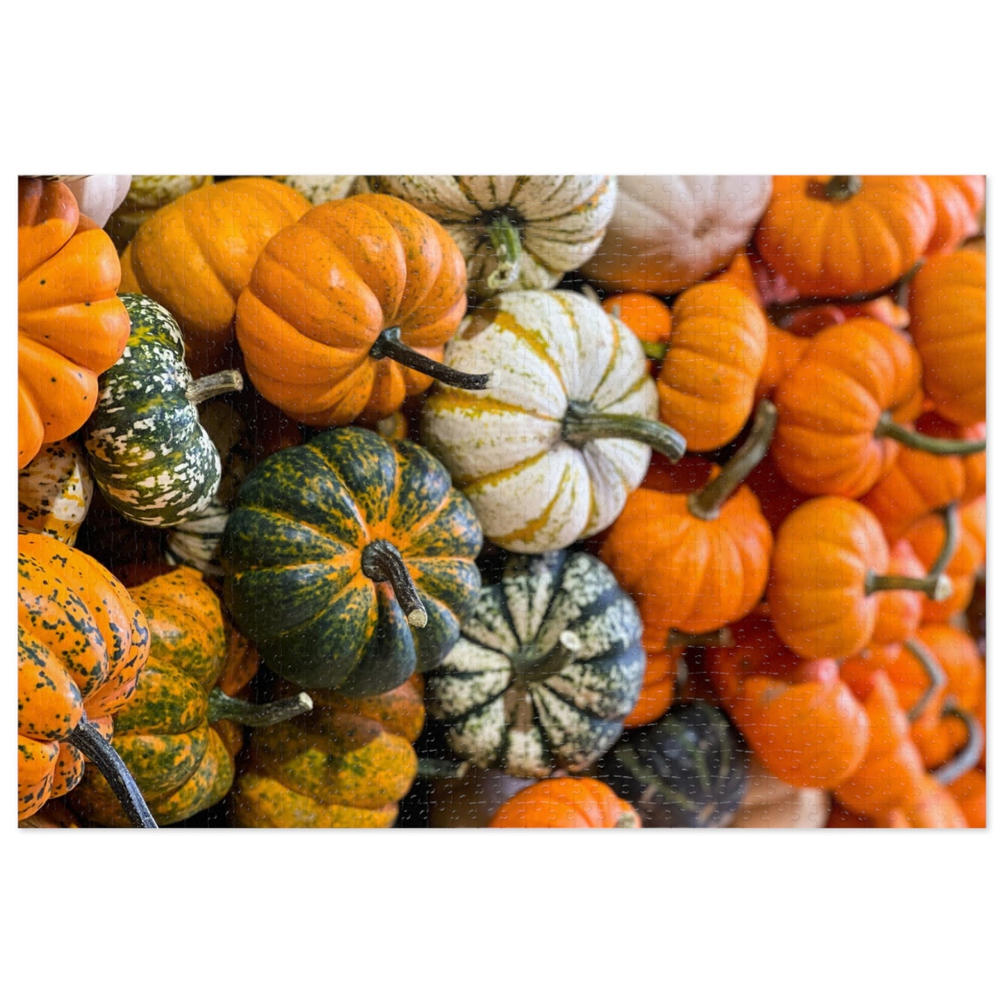 The Pumpkin Pile Jigsaw Puzzle (252, 500,1000-Piece)