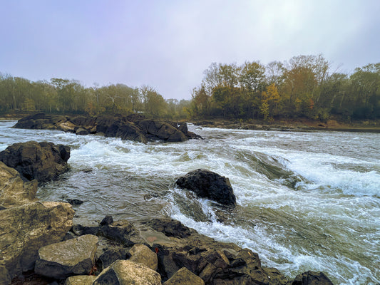 Roanoke Rapids