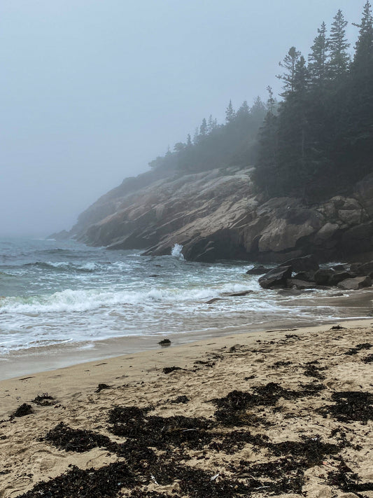 Maine Coastline