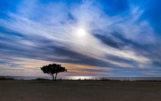 Pamlico Sound
