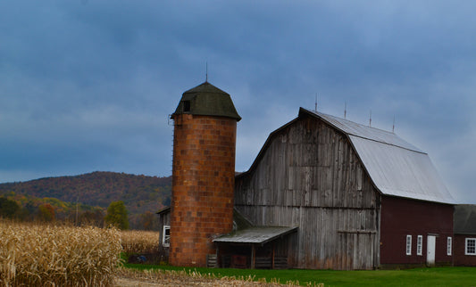 The Barn