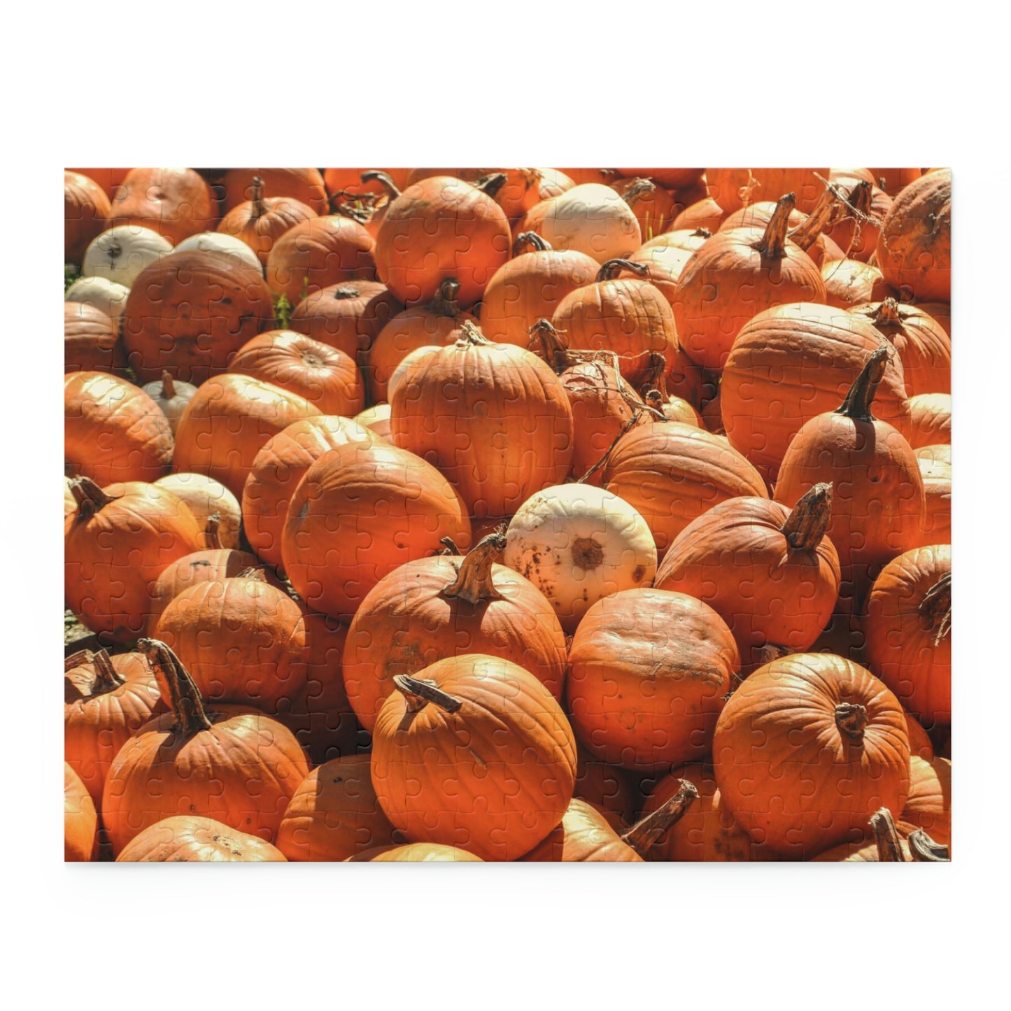 Pumpkin Piles (120, 252, 500-Piece)