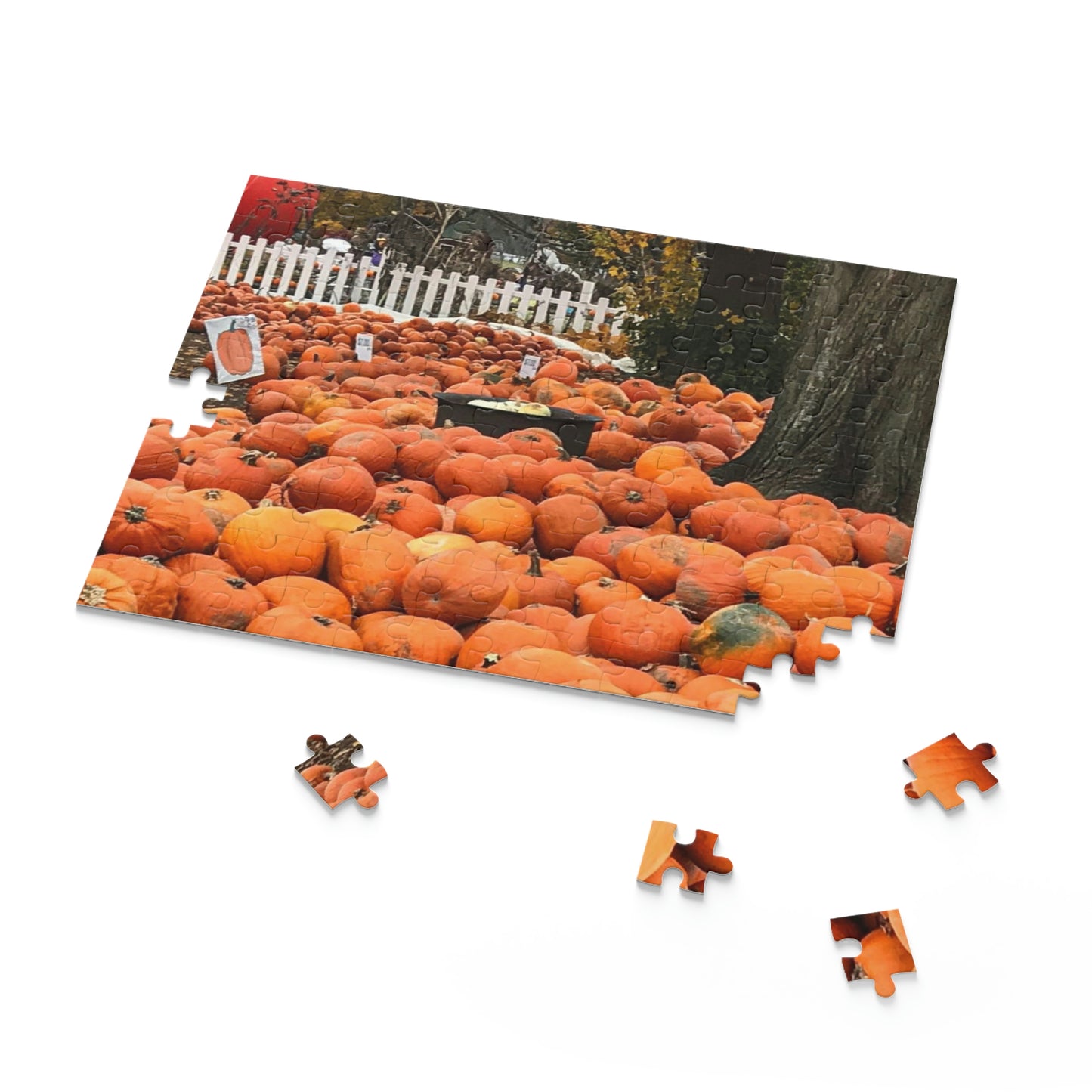 Somewhere in the Pumpkin Patch (120, 252, 500-Piece)