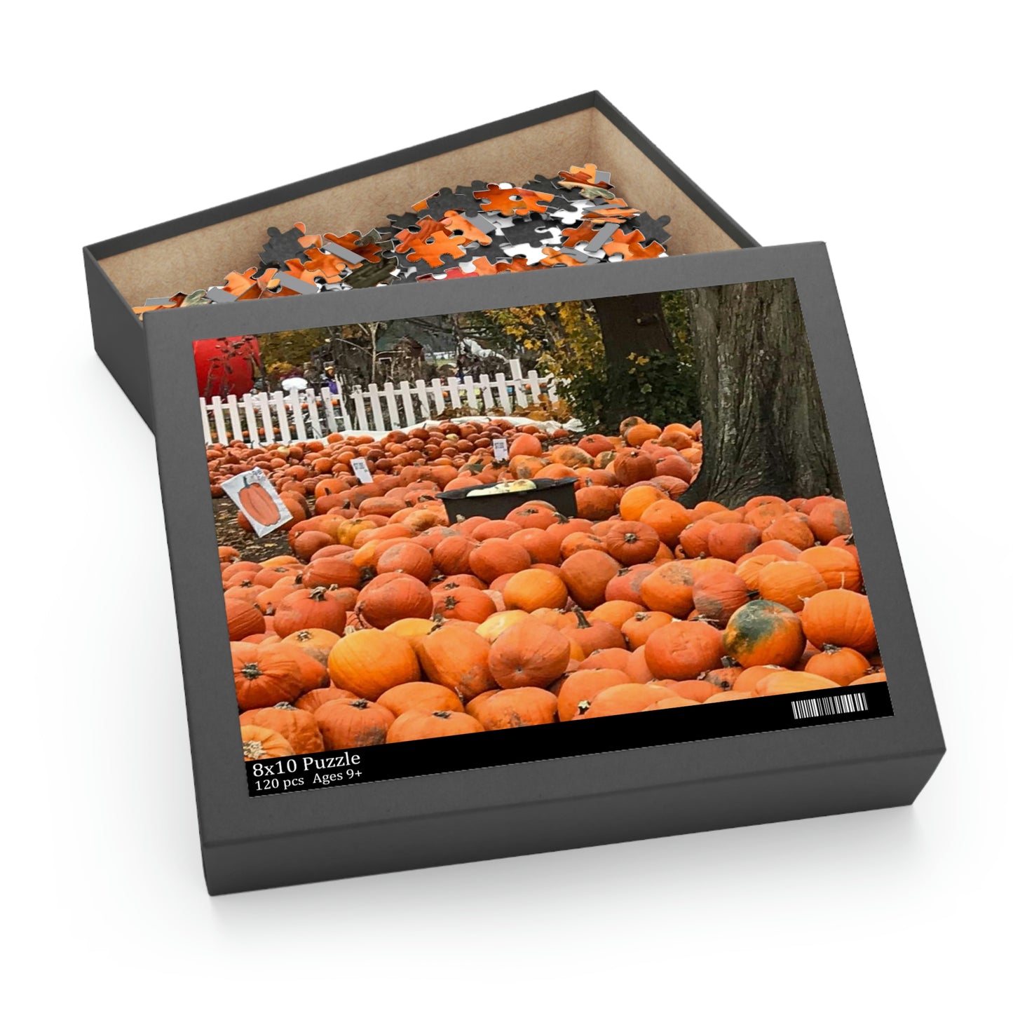 Somewhere in the Pumpkin Patch (120, 252, 500-Piece)