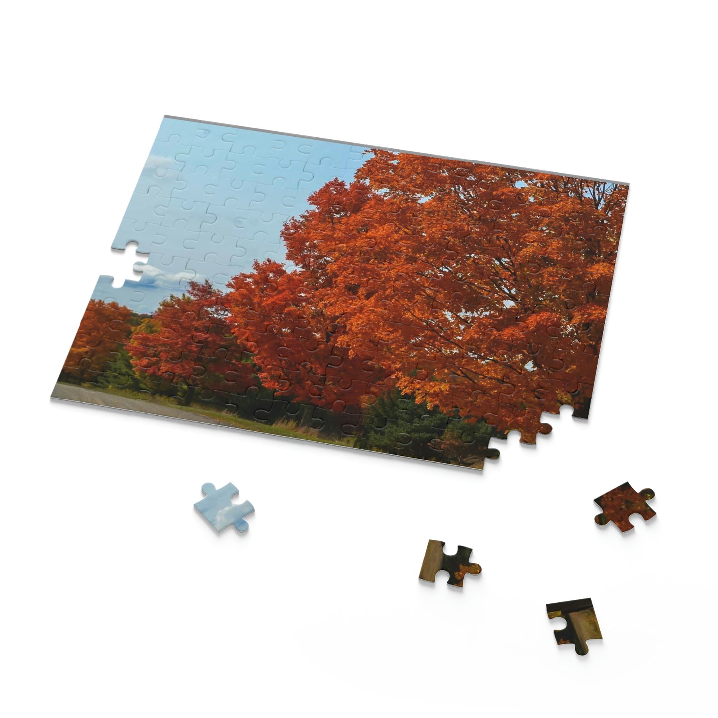 Beauty of Fall (120, 252, 500-Piece)