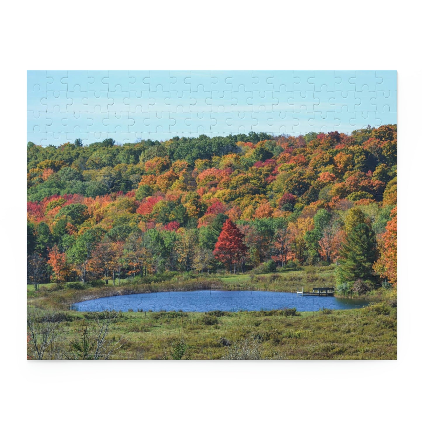 Fall in Upstate New York (120, 252, 500-Piece)