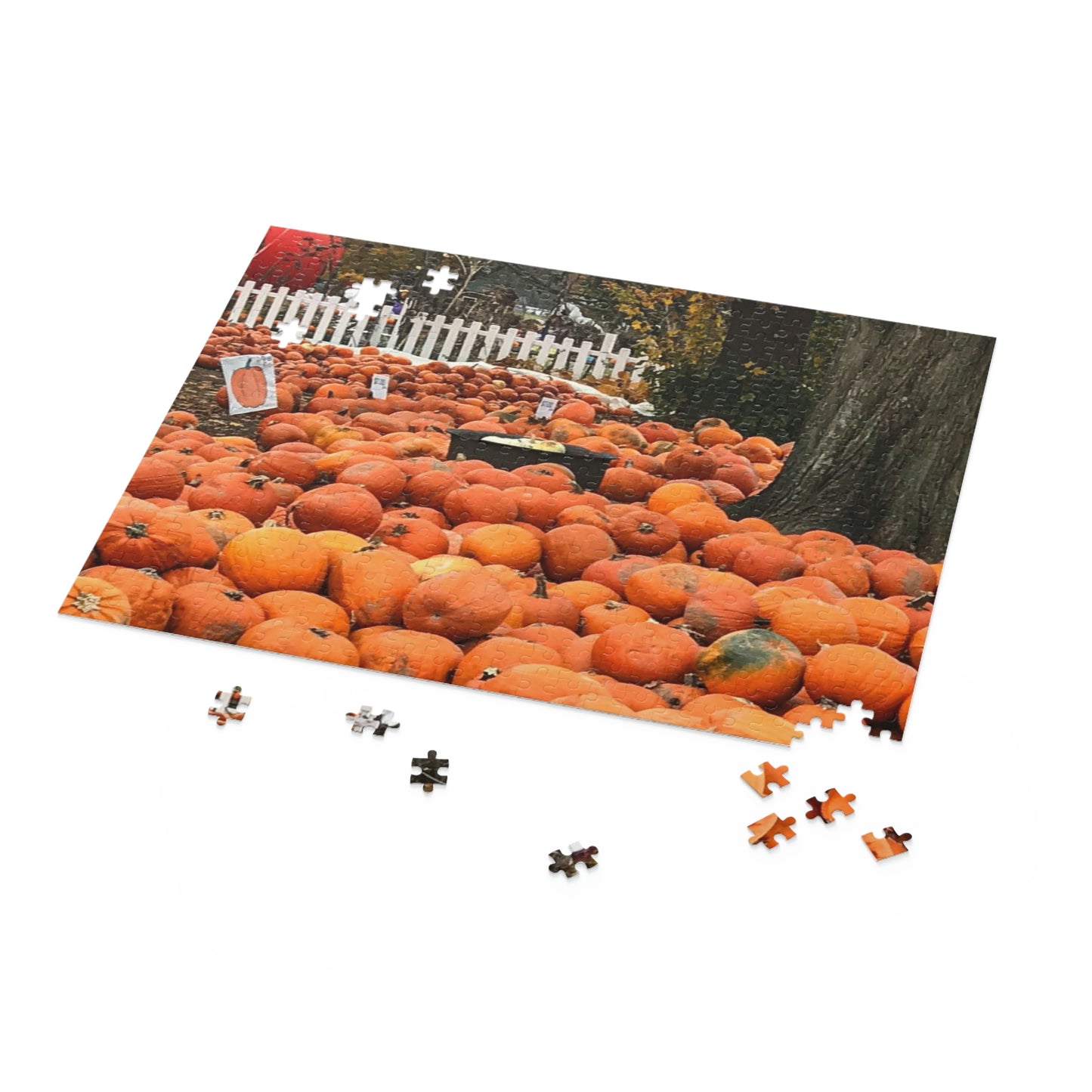 Somewhere in the Pumpkin Patch (120, 252, 500-Piece)