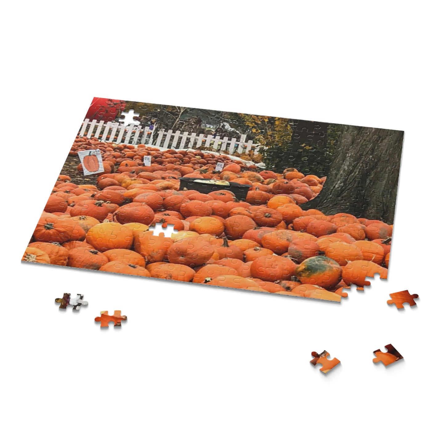 Somewhere in the Pumpkin Patch (120, 252, 500-Piece)